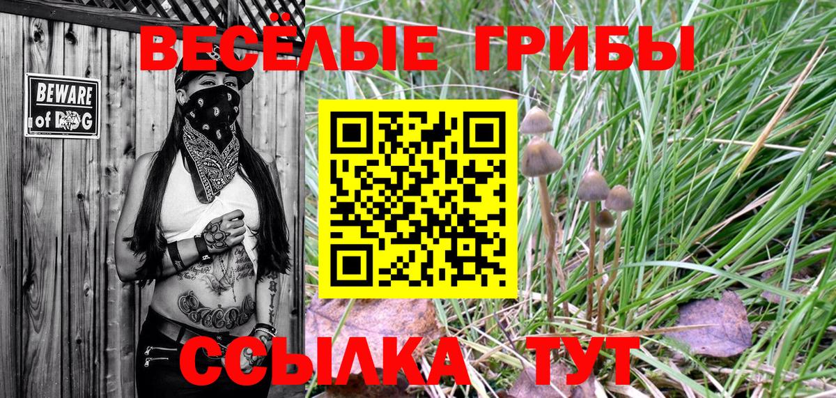 Псилоцибиновые грибы MAGIC MUSHROOMS Кашира