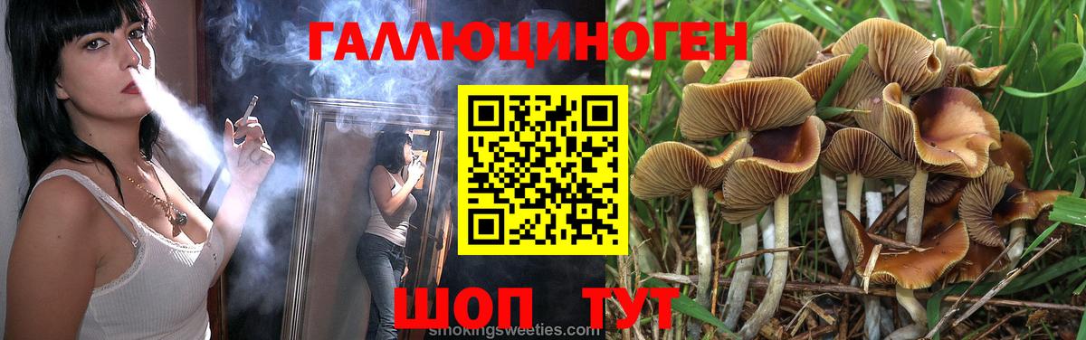 Кашира  Галлюциногенные грибы Psilocybe  Галлюциногенные грибы Psilocybe  Вход с VPN 